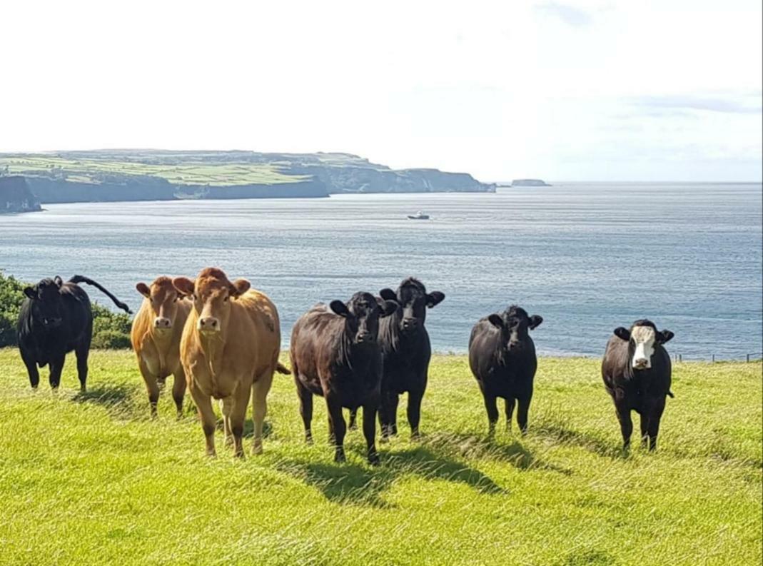Tornabodagh House Ballycastle Luaran gambar